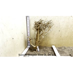 Katala Scaper Tree (WYSIWYG)