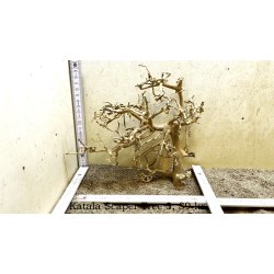 Katala Scaper Tree (WYSIWYG)