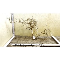 Katala Scaper Tree (WYSIWYG)