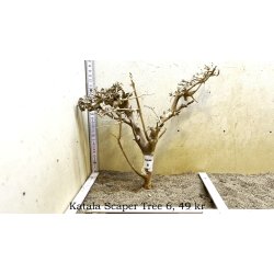 Katala Scaper Tree (WYSIWYG)