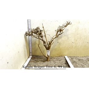 Katala Scaper Tree (WYSIWYG)