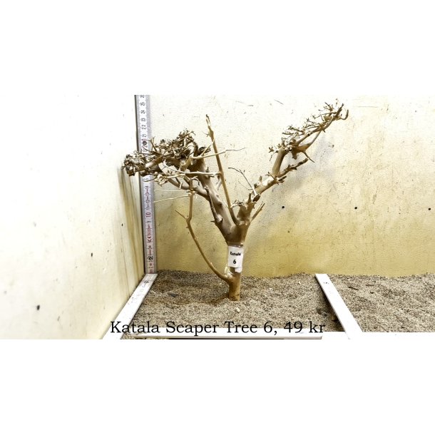 Katala Scaper Tree (WYSIWYG)