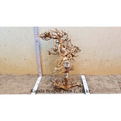 Katala Scaper Tree (WYSIWYG)
