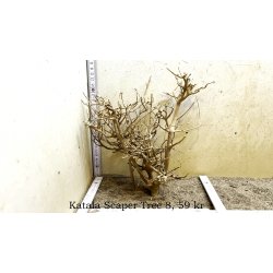 Katala Scaper Tree (WYSIWYG)
