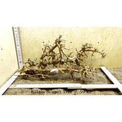 Katala Scaper Tree (WYSIWYG)