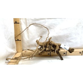 Kobald Rod (WYSIWYG)