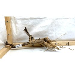 Kobald Rod (WYSIWYG)