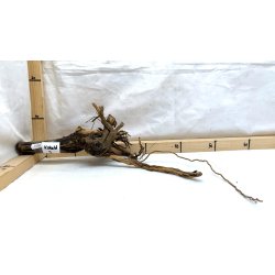 Kobald Rod (WYSIWYG)