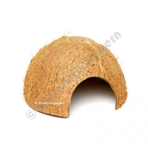 Kokosnd Hule