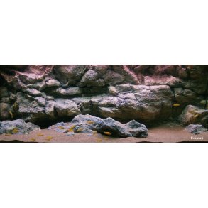 Element 240 L med RockZolid Komodo baggrund