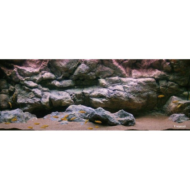 Element 180 L med RockZolid Komodo baggrund