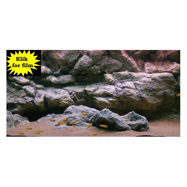 Move 576 L med RockZolid Komodo baggrund