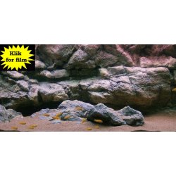 Move 360 L med RockZolid Komodo baggrund