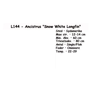 L144 - Ancistrus 