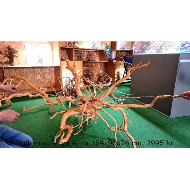 Mega rdder (WYSIWYG)