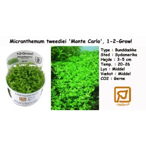 Micranthemum tweediei 'Monte Carlo', 1-2-Grow! 