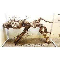 Millennium Tree (WYSIWYG)