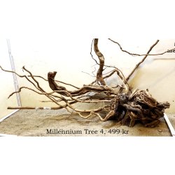 Millennium Tree (WYSIWYG)