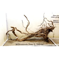 Millennium Tree (WYSIWYG)