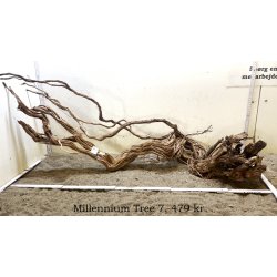 Millennium Tree (WYSIWYG)