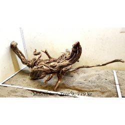 Millennium Tree (WYSIWYG)