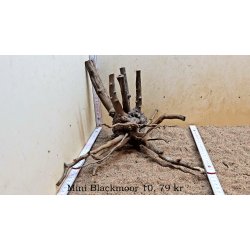 Mini Blackmoor Rod (WYSIWYG)