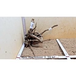 Mini Blackmoor Rod (WYSIWYG)