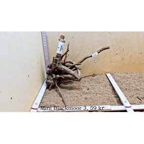 Mini Blackmoor Rod (WYSIWYG)