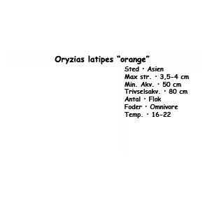 Oryzias latipes �orange�