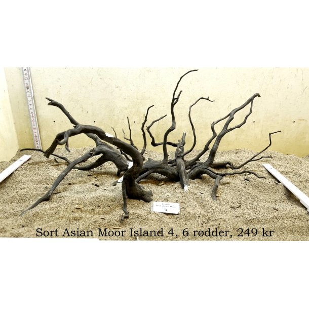 Sort Asian Moor Island (WYSIWYG)