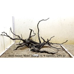 Sort Asian Moor Island (WYSIWYG)