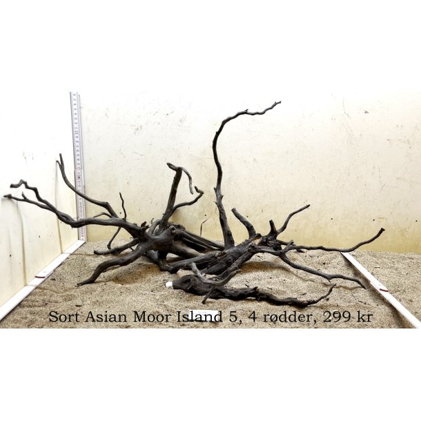 Sort Asian Moor Island (WYSIWYG)