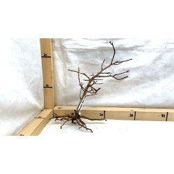 Scaper Tree (WYSIWYG)