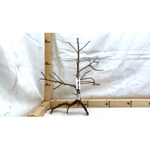 Scaper Tree (WYSIWYG)