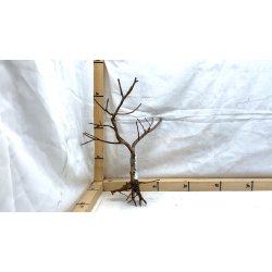 Scaper Tree (WYSIWYG)