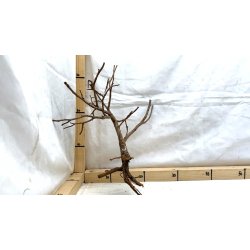 Scaper Tree (WYSIWYG)