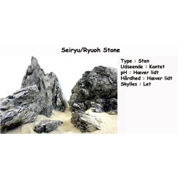 Seiryu/Ryuoh Stone