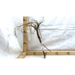 Senggani Rod (WYSIWYG)