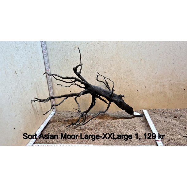 Sort Asian Moor Rod Large-XXLarge (WYSIWYG)