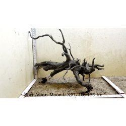 Sort Asian Moor Rod Large-XXLarge (WYSIWYG)