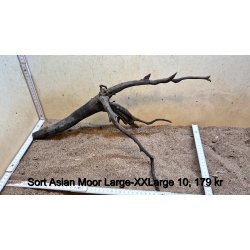Sort Asian Moor Rod Large-XXLarge (WYSIWYG)