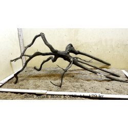 Sort Asian Moor Rod Large-XXLarge (WYSIWYG)