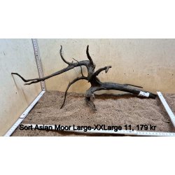 Sort Asian Moor Rod Large-XXLarge (WYSIWYG)