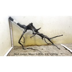 Sort Asian Moor Rod Large-XXLarge (WYSIWYG)