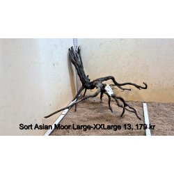Sort Asian Moor Rod Large-XXLarge (WYSIWYG)