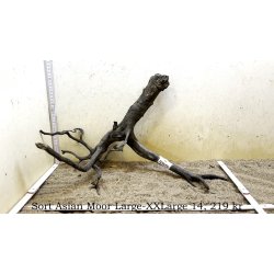 Sort Asian Moor Rod Large-XXLarge (WYSIWYG)