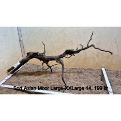 Sort Asian Moor Rod Large-XXLarge (WYSIWYG)