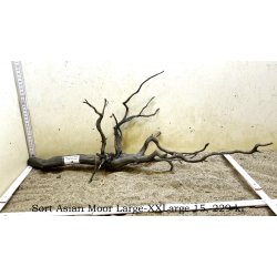 Sort Asian Moor Rod Large-XXLarge (WYSIWYG)