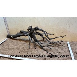 Sort Asian Moor Rod Large-XXLarge (WYSIWYG)