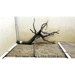 Sort Asian Moor Rod Large-XXLarge (WYSIWYG)